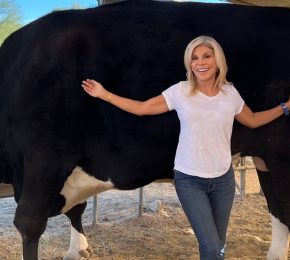 Smiling woman holding book beside giant cow